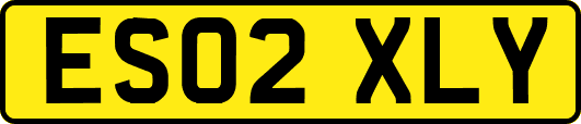 ES02XLY