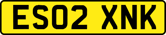 ES02XNK