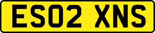 ES02XNS