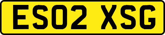 ES02XSG