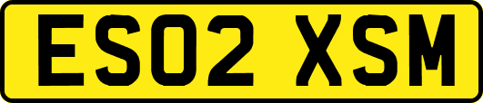 ES02XSM