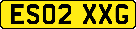 ES02XXG