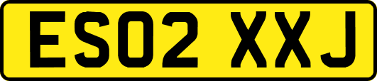 ES02XXJ