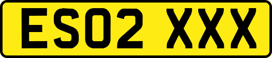 ES02XXX