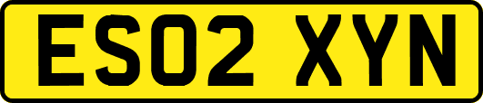 ES02XYN
