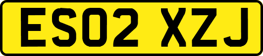 ES02XZJ