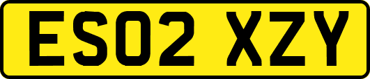 ES02XZY