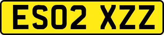 ES02XZZ