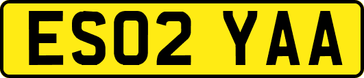 ES02YAA