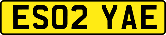 ES02YAE