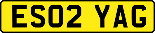ES02YAG