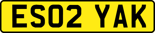ES02YAK