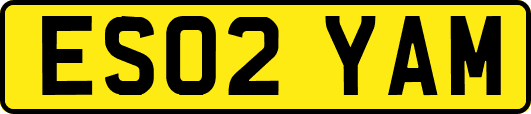 ES02YAM