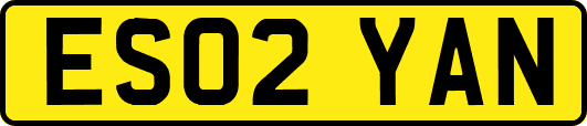 ES02YAN