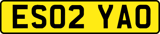 ES02YAO