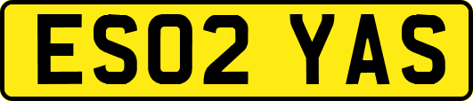 ES02YAS