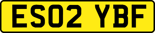 ES02YBF