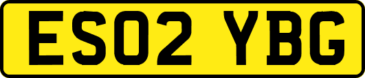 ES02YBG