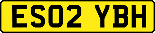 ES02YBH