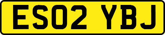 ES02YBJ