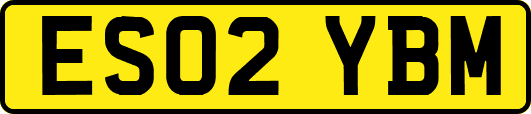 ES02YBM