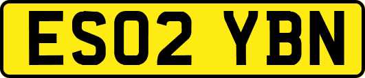 ES02YBN
