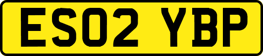 ES02YBP