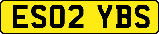 ES02YBS