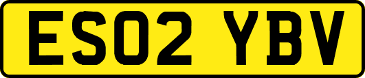 ES02YBV