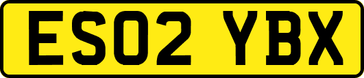 ES02YBX
