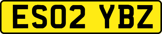 ES02YBZ