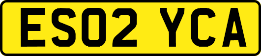ES02YCA
