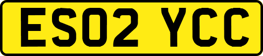 ES02YCC