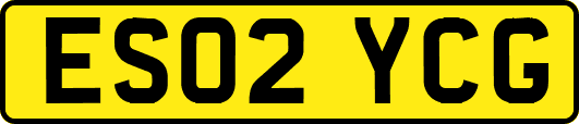 ES02YCG