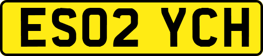 ES02YCH