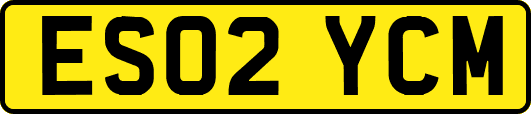 ES02YCM