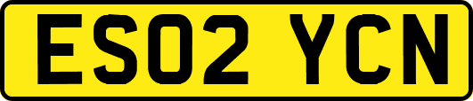 ES02YCN