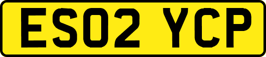 ES02YCP