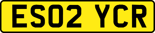 ES02YCR