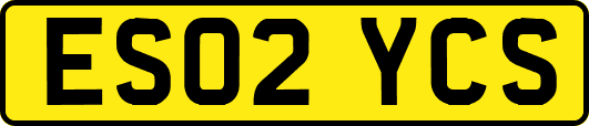 ES02YCS