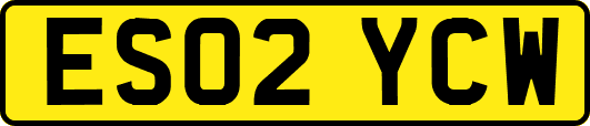 ES02YCW