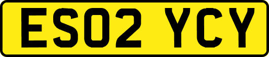 ES02YCY