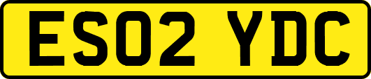 ES02YDC