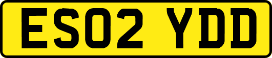 ES02YDD