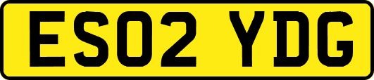 ES02YDG