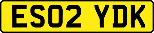 ES02YDK