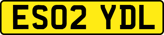 ES02YDL