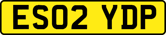ES02YDP
