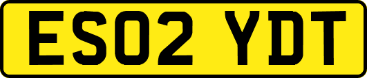 ES02YDT