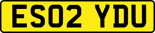 ES02YDU